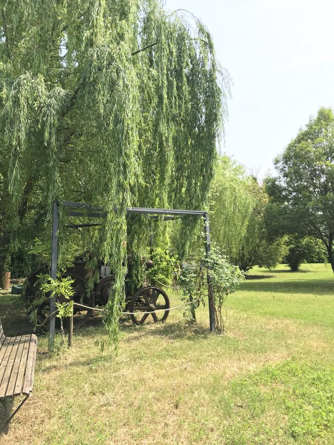 Отель Agriturismo Corte Salandini Понти-суль-Минчо Экстерьер фото