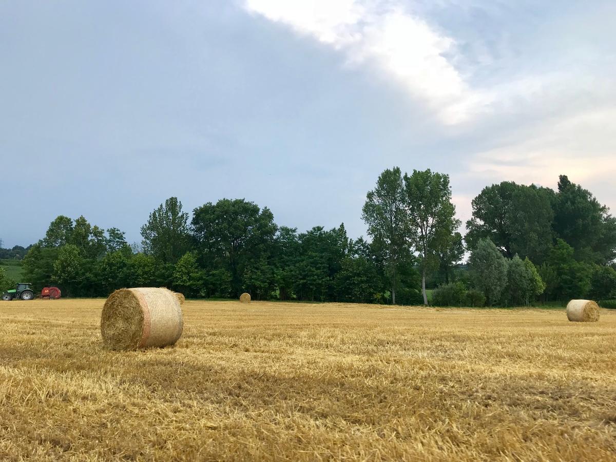 Отель Agriturismo Corte Salandini Понти-суль-Минчо Экстерьер фото